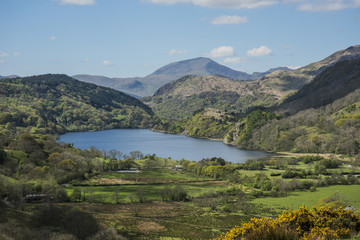 Obraz premium Llyn Gwynant, Lake, North Wales, UK