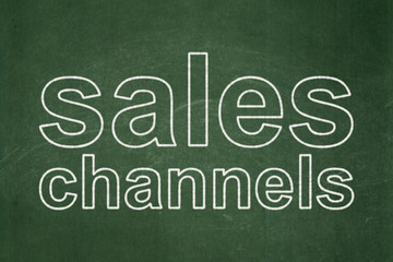 Marketing concept: text Sales Channels on Green chalkboard background
