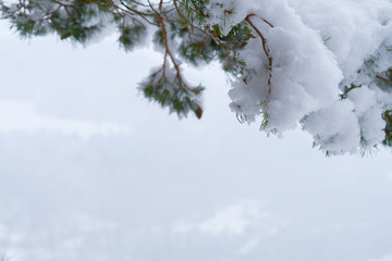 Winter landscape, forest and mountains during the snowfall, winter dream and winter fairytale