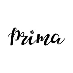Fototapeta na wymiar Prima poster design with hand lettered phrase Perfect for dance studio decor, gift, apparel design for dancers.