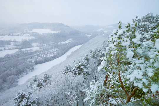 Fototapeta Winter landscape, forest and mountains during the snowfall, winter dream and winter fairytale