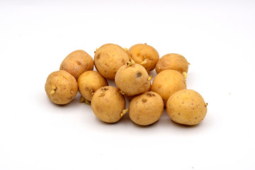 Sprouted Potatoes on a Seamless White Background