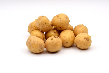 Sprouted Potatoes on a Seamless White Background