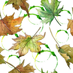 Maple leaves pattern in a watercolor style. Aquarelle leaf for background, texture, wrapper pattern, frame or border.