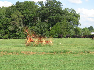 farm hay rake