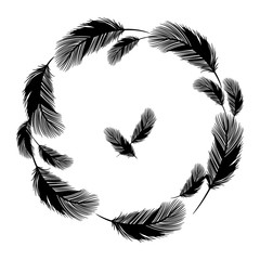 Composition from outline vector of feathers of fluffy birds