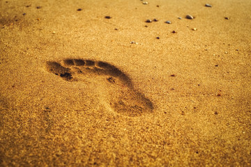 footprints on a sandy beach