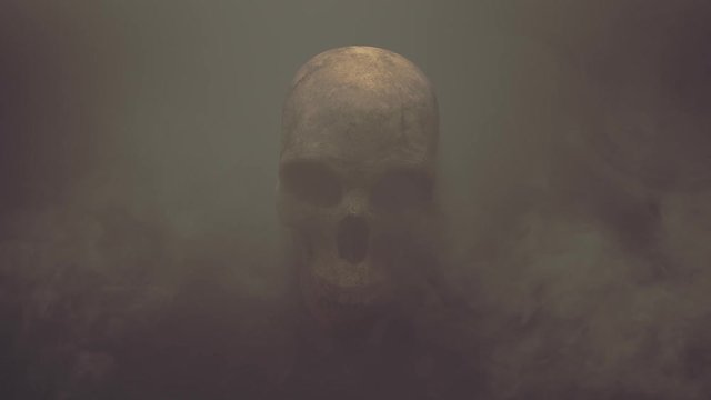 Skull in the fog.
