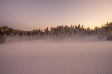 Winter snowy landscape