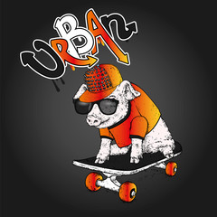 A pig with glasses and a cap. Vector illustration. Sport and extreme.