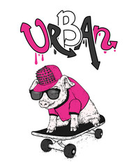 A pig with glasses and a cap. Vector illustration. Sport and extreme.
