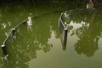 The Yardenit Baptismal Site is a baptism site located along the Jordan River in the Galilee region of northern Israel, which is frequented by Christian pilgrims. The site is located south of the river