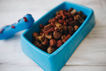 A bowl of dry dog food and chewing toy on a white board background. Pet care and veterinary concept. Space for your text or image. Top view