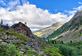 Lateral moraine is overgrown with small shrubs