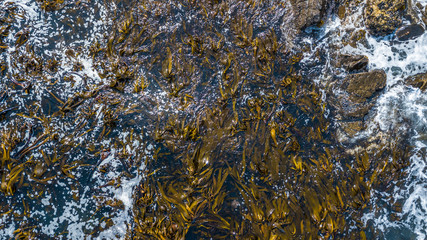 Ocean waves on the beach