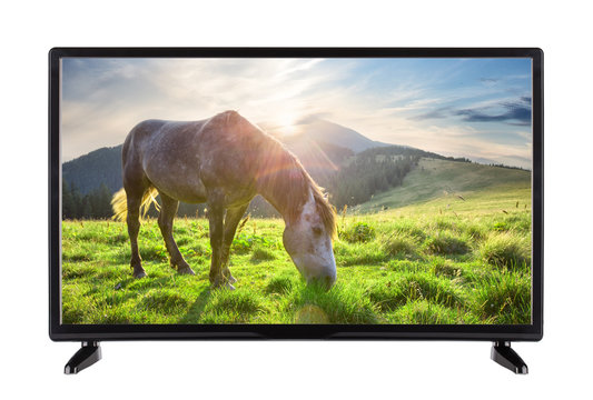 Black High Definition TV with picture of horse