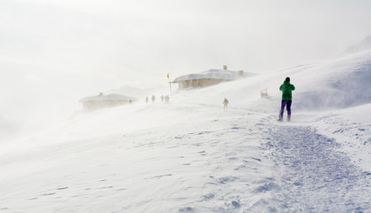 Fototapeta na wymiar Snowstorm in the mountains at winter time. Mountains of Trentino Alto Adige, South Tyrol