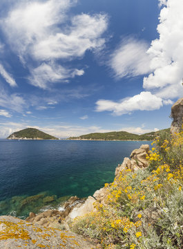 Panoramic of blue sea, Gulf of Procchio, Marciana, Elba Island, Livorno Province, Tuscany