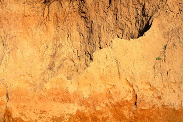 Close-up of a loamy ravine wall as an environmental texture background. Seaside coastal erosion with clay soil