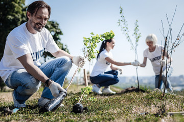 Environmental issues. Joyful pleasant handsome man smiling and looking at the tree while helping...