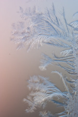 Icy patterns on the glass