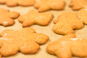 Ginger biscuits lie on a baking sheet. Cookies on baking paper. Selective focus.