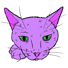Cute Cat Kitten Cartoon Illustraion