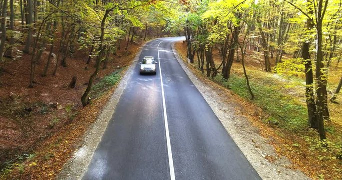 Aerial view of sinuous route in forest, autumn day