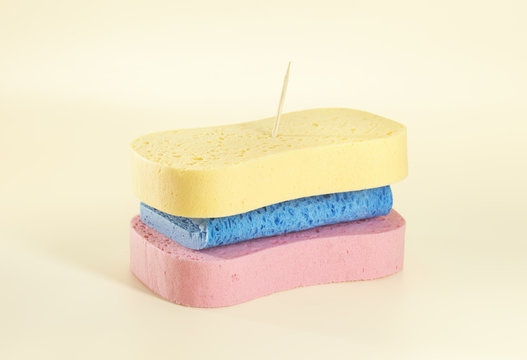 &eacute;ponge sandwich