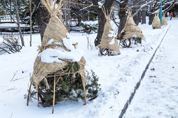 Frost and snow shield on plants and trees during winter