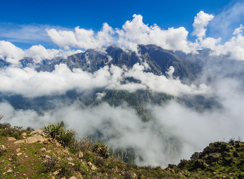 Colca Canyon, Cruz del Condor, Arequipa Region, Peru