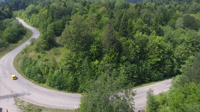автогонка в горном лесу