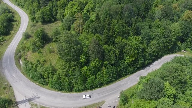 автогонка в горном лесу