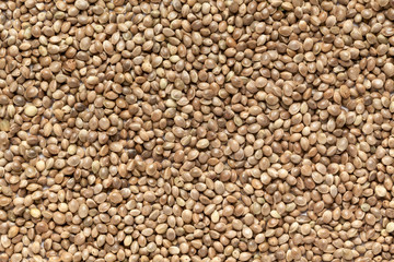Organic Hemp seeds (Cannabis sativa)  in full frame background. Micro Closeup, Top view.