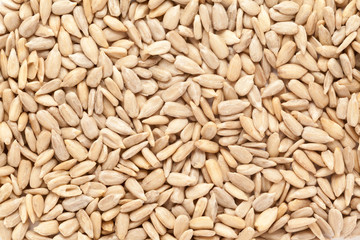 Organic Sunflower seeds (Helianthus annuus) in full frame background. Micro Closeup, Top view.