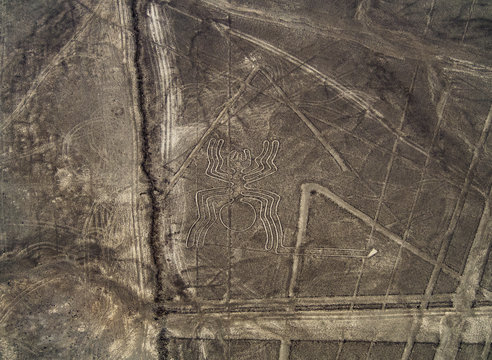The Spider Geoglyph, aerial view, Nazca, Ica Region, Peru