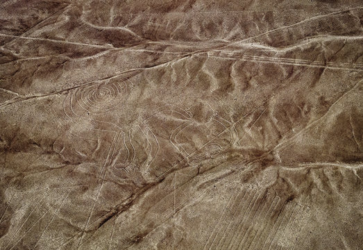 The Monkey Geoglyph, aerial view, Nazca, Ica Region, Peru
