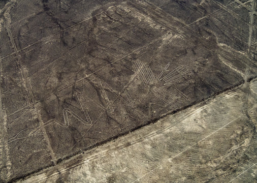 The Heron Geoglyph, aerial view, Nazca, Ica Region, Peru