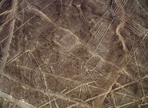 The Bird Geoglyph, aerial view, Nazca, Ica Region, Peru