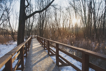 Obraz na płótnie Canvas деревянная дорожка в зимнем парке