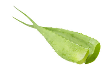 Fresh aloe vera isolated over white