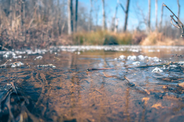 puddle or creek and ice melting on sunny day