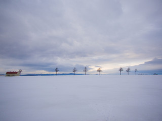 Fototapeta na wymiar 冬空の雪原と並木