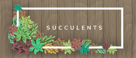 Frame with colorful succulent plants on wood background. Vector illustration for natural design, horizontal banner - 191343423
