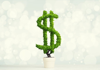 Concept of investment income and growth with money tree in pot