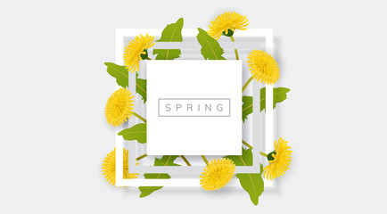 Naklejka premium Biała ramka z żółtym kwiatem mniszka lekarskiego i zielonym liściem. Realistyczne ilustracji wektorowych na wiosnę i natura projekt, baner z kwadratową ramą