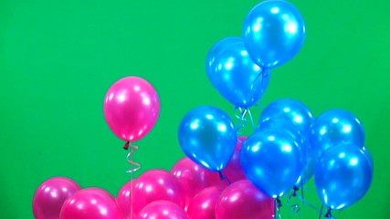  slow motion blue and pink  balloons fly up  on green screen