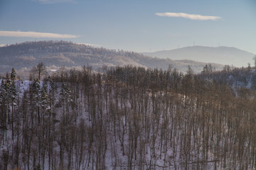 Beautiful winter landscape in the forest. Sunset