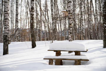 Snow drifts. In the snow table and benches. The birdhouse.