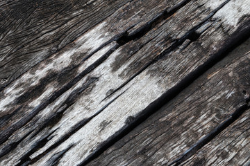 Square surface of decayed wood.